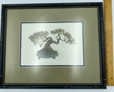 Vintage bonsai tree for sale  Fremont