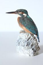 Taxidermy-hunting-chasse-präparat- Common Kingfisher with permit for sale  Shipping to South Africa