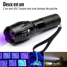 Lampe poche 395nm d'occasion  Nanteuil-le-Haudouin