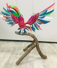 Toucan parrot bird for sale  Howard Beach