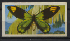 Queen Victoria's Birdwing Butterfly Vintage Brooke Tea Collector Trading Card for sale  Shipping to South Africa