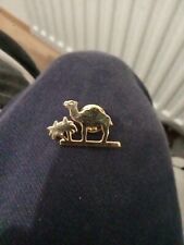 Pin camel d'occasion  Amiens-