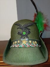 cappello alpino penna usato  Torino