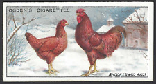Ogdens poultry 19 for sale  TAMWORTH