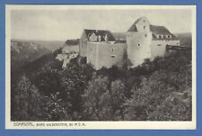 Wildenstein donautal 1920 gebraucht kaufen  Marburg