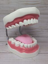 Doc.Royal Oversized 6:1 Dental Teach Study Adulto Padrão Dentes Typodont (EUC)  comprar usado  Enviando para Brazil