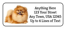 Pomeranian dog pom for sale  Rippey