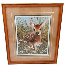 Baby deer framed for sale  Winfield
