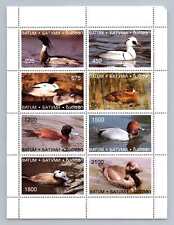 Batum ducks birds for sale  SLEAFORD