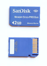 Sandisk card memory usato  Italia