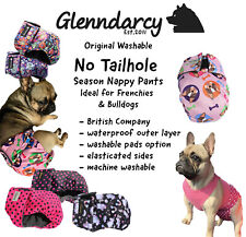 Glenndarcy tailhole female for sale  PATHHEAD