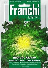 Franchi seeds endive for sale  GRANTHAM