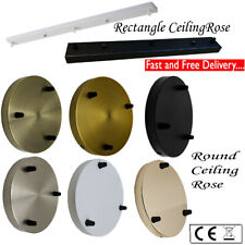 Ceiling rose light for sale  Shipping to Ireland