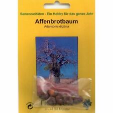 Bonsai samen adansonia gebraucht kaufen  Heinsberg