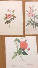 Lot ancienne gravure d'occasion  Laudun-l'Ardoise