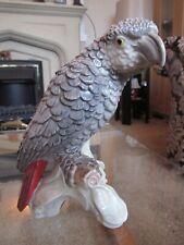 African grey timneh for sale  HOLYHEAD