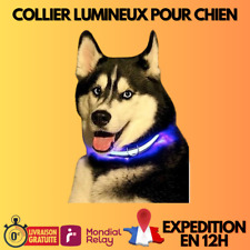 Collier led chien d'occasion  Jussey