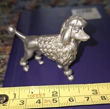 grey poodle for sale  MILTON KEYNES