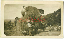 Sml haymaking men for sale  BODORGAN