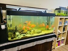 500L Fish Tank+Fishes+Lamp+Fluval 406 Filter +Eheim Heater+Eheim 2 Way AirPump.. for sale  LONDON