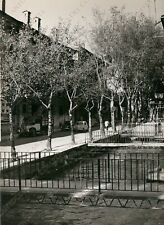 1955 udine via usato  Cremona