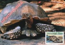 Libya 1979 turtles usato  Zelbio