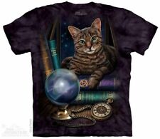 Fortune teller cat for sale  Greensboro