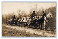 1909 horses team for sale  Terre Haute