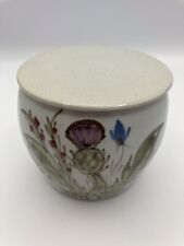 Buchan portobello pottery for sale  INVERNESS