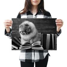 Pomeranian dog reading for sale  SELBY