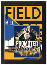 Mansfield town football for sale  MANSFIELD