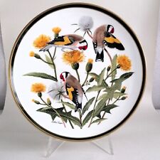 Goldfinch bird songbirds for sale  UK