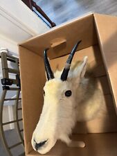 mountain goat taxidermy for sale  Ankeny