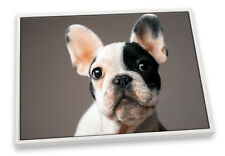 French bulldog cute for sale  UK