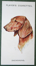 Cartão ilustrado vintage original DACHSHUND 1929 CD01M, usado comprar usado  Enviando para Brazil