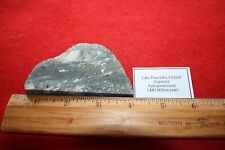 Lake paasselka meteorite for sale  WAKEFIELD