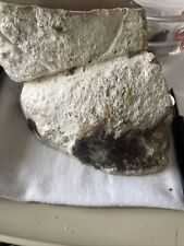 Rough rock mineral for sale  AMMANFORD