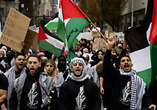 Sciarpa shemagh palestine usato  Spedire a Italy