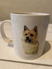 Vintage norwich terrier for sale  Auburn