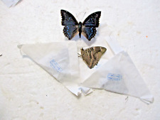 Entomology Destocking RCA Nymphalidae Charaxes Numenes Male 4 Piece for sale  Shipping to South Africa