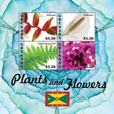 Grenada 2020 plants for sale  Brooklyn