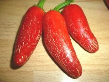 Red jalapeno chilli for sale  LONDON