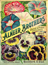 1898 alneer brothers for sale  Columbia