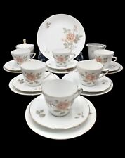 Vintage Seltmmann Weiden Bavaria Tea Set Monika Shape Rose Pattern 21 Pieces, used for sale  Shipping to South Africa
