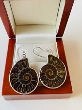 Natural ammonite fossil for sale  FALKIRK