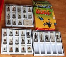 Real life bugs for sale  SOUTH QUEENSFERRY