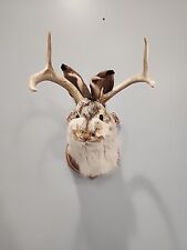 J120 jackalope mount for sale  Hinton