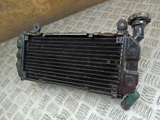 Radiatore acqua radiator usato  Italia