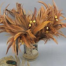 Peacock pheasant feather for sale  Boise