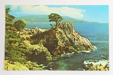 Cartão postal Midway Point, 17 Mile Drive Monterey Peninsula, Califórnia comprar usado  Enviando para Brazil